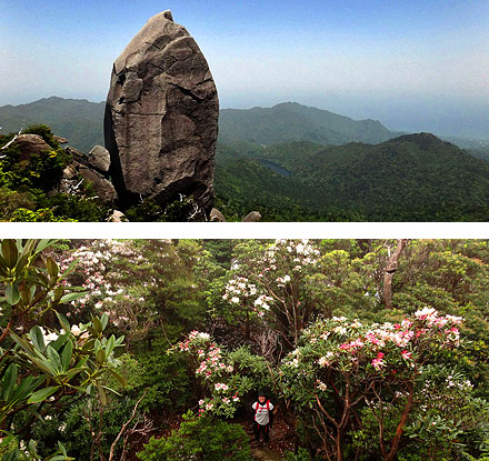 太忠岳